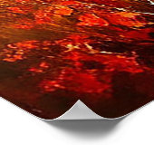 Schilderachtig herfstlandschap met levendig geblad poster (Hoek)