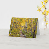 Schilderachtig herfstroute door het Aspen Tree For Kaart (Gele Bloem)
