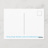 Schilderachtig Hiking Snowy Range Mountain Summit  Briefkaart (Achterkant)