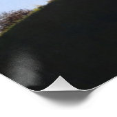 schilderachtig honden met volledige kleuren in de  perfect poster (Hoek)