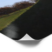 schilderachtig honden met volledige kleuren in de  poster (Hoek)