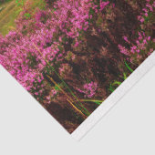 schilderachtig Ierland tissuepapier (Detail)