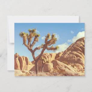 Schilderachtig Joshua Trees National Park landscha Briefkaart