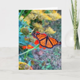 Schilderachtig kleurrijke bloemen en vlinders kaart