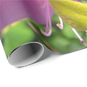 Schilderachtig landschap cadeaupapier (Rol Hoek)