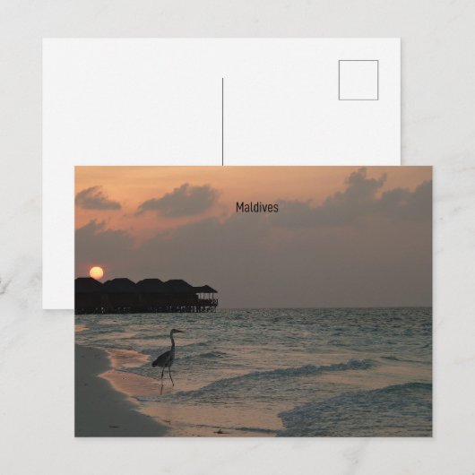 Schilderachtig landschap van de Malediven Briefkaart (Voorkant / Achterkant)