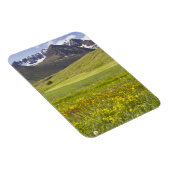 Schilderachtig landschap van de vallei van Svarfad Magneet (Rechterzijde)