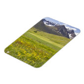 Schilderachtig landschap van de vallei van Svarfad Magneet (Linkerzijde)