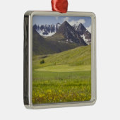 Schilderachtig landschap van de vallei van Svarfad Metalen Ornament (Rechts)