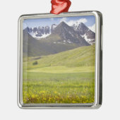 Schilderachtig landschap van de vallei van Svarfad Metalen Ornament (Links)