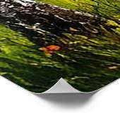 Schilderachtig landschap van een sereen meer poster (Hoek)