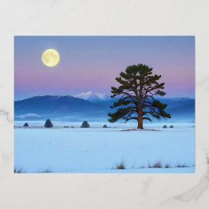 Schilderachtig landschap Wintermaan Natuur rustig Folie Feestdagen Briefkaart