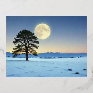 Schilderachtig landschap Wintermaan Natuur rustig Folie Feestdagen Briefkaart
