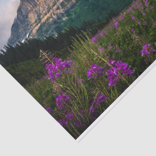 Schilderachtig Lupine Meadow Mountain Majesty Tissuepapier (Detail)