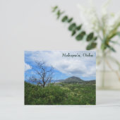 Schilderachtig Makapuu Oahu Hawaii Uitzicht Briefkaart (Staand voorkant)