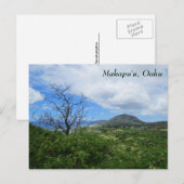 Schilderachtig Makapuu Oahu Hawaii Uitzicht Briefkaart (Voorkant / Achterkant)
