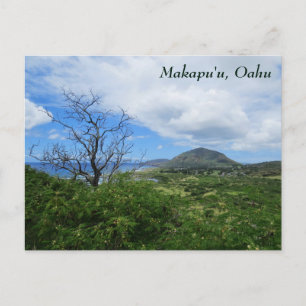Schilderachtig Makapuu Oahu Hawaii Uitzicht Briefkaart