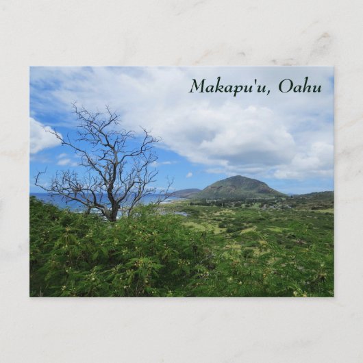 Schilderachtig Makapuu Oahu Hawaii Uitzicht Briefkaart (Voorkant)