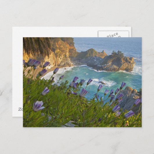 Schilderachtig McWay-Herfsten lopen het strand in Briefkaart (Voorkant / Achterkant)