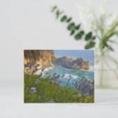 Schilderachtig McWay-Herfsten lopen het strand in  Briefkaart (Staand voorkant)