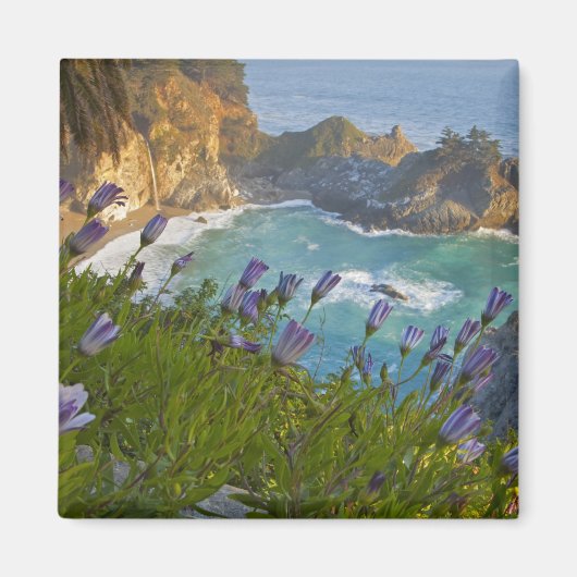 Schilderachtig McWay-Herfsten lopen het strand in  Magneet (Voorkant)