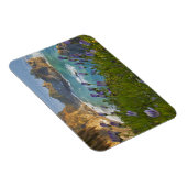 Schilderachtig McWay-Herfsten lopen het strand in  Magneet (Rechterzijde)