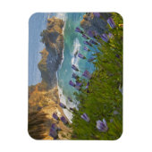 Schilderachtig McWay-Herfsten lopen het strand in  Magneet (Verticaal)