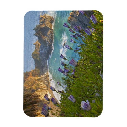 Schilderachtig McWay-Herfsten lopen het strand in  Magneet (Verticaal)