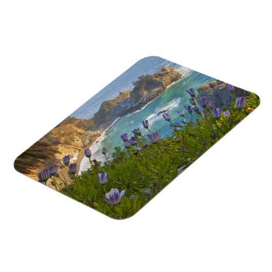 Schilderachtig McWay-Herfsten lopen het strand in  Magneet (Linkerzijde)