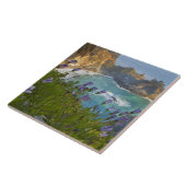 Schilderachtig McWay-Herfsten lopen het strand in  Tegeltje (Zijkant)