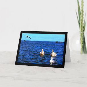 Schilderachtig meer Winnebago denken aan je kaart