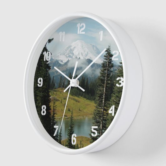 Schilderachtig Mount Rainier Landscape (Hoek)