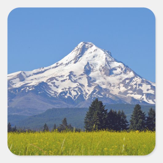 Schilderachtig Mt Hood Coffee Vierkante Sticker (Voorkant)