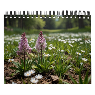 schilderachtig muur 2025 kalender
