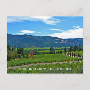 Schilderachtig Napa-vallei in Californië Briefkaart