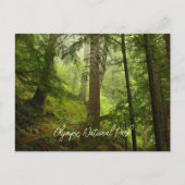 Schilderachtig Nationaal Park Rainforest Briefkaart (Voorkant)