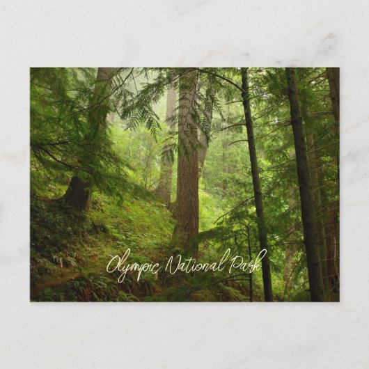 Schilderachtig Nationaal Park Rainforest Briefkaart (Voorkant)