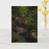 Schilderachtig Natuur Wenskaart Kaart (Gele Bloem)