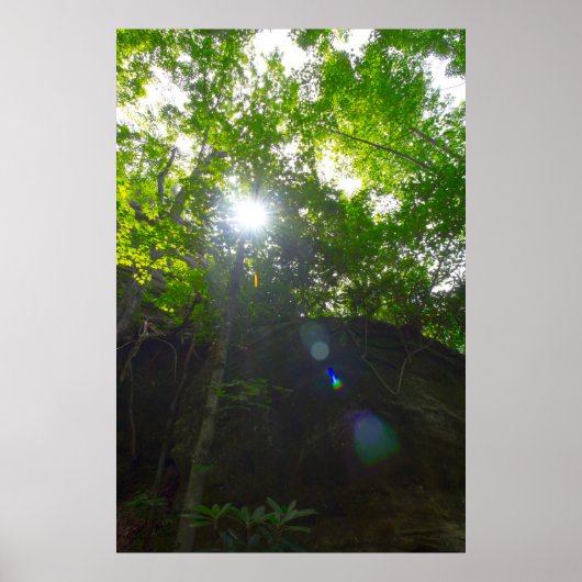 Schilderachtig natuurgebied Arch, Kentucky Poster (Voorkant)