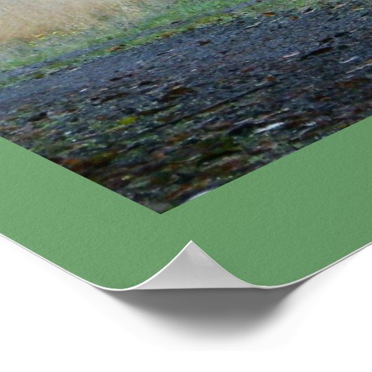 Schilderachtig oregon Forest Trees Country Fotogra Poster (Hoek)