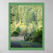 Schilderachtig oregon Forest Trees Country Fotogra Poster (Voorkant)