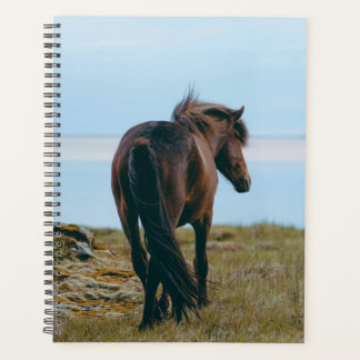 Schilderachtig paardenplanner planner
