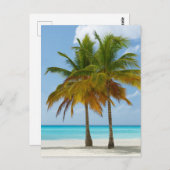 Schilderachtig palmbomen op een tropisch strand briefkaart (Voorkant / Achterkant)