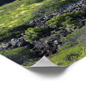 Schilderachtig Poster (Hoek)