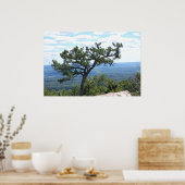 Schilderachtig Poster (Keuken)