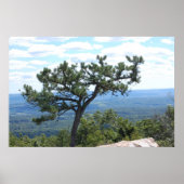 Schilderachtig Poster (Voorkant)