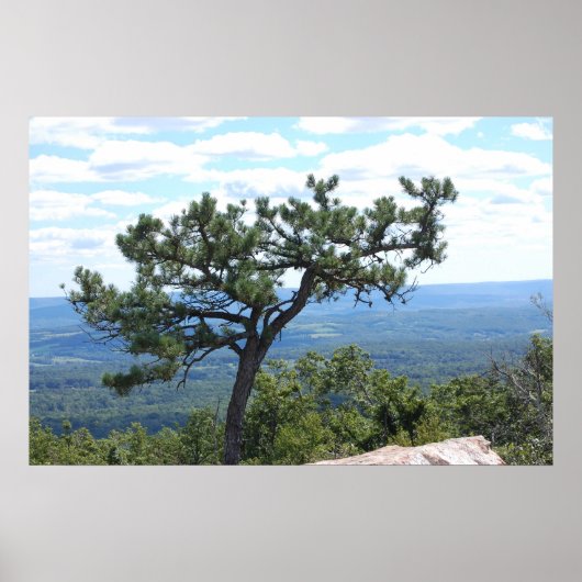 Schilderachtig Poster (Voorkant)