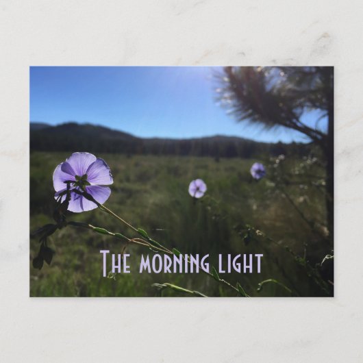 Schilderachtig Prairie Blue Flax Flowers Miss U Briefkaart (Voorkant)