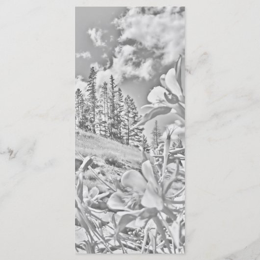 schilderachtig programma voor  bloemen programmakaart (Achterkant)