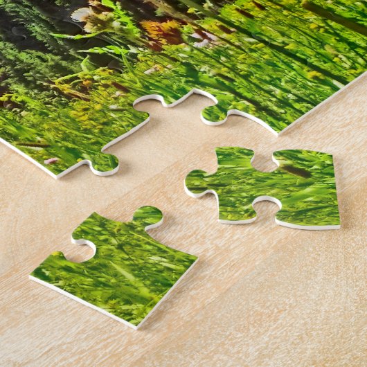 Schilderachtig puzzel van de colorado bergweide (Zijkant)